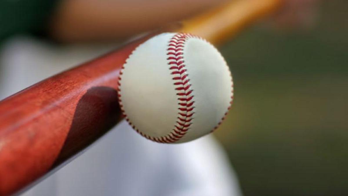 Baseball hitting bat